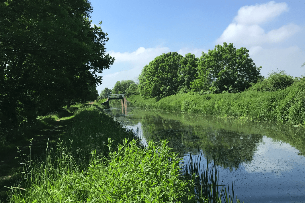 Taunton & Bridgwater Canal - Taunton Angling Association